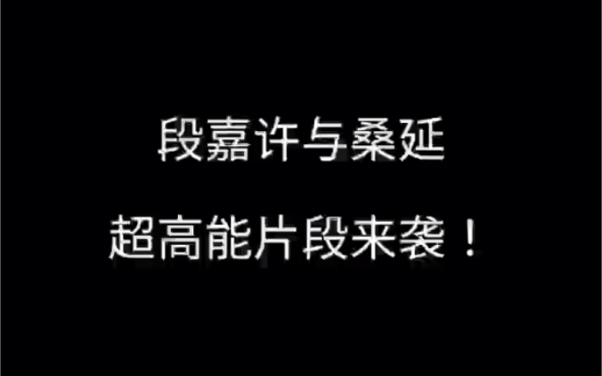 偷偷藏不住桑稚段嘉许段嘉许与桑延超高能片段来袭