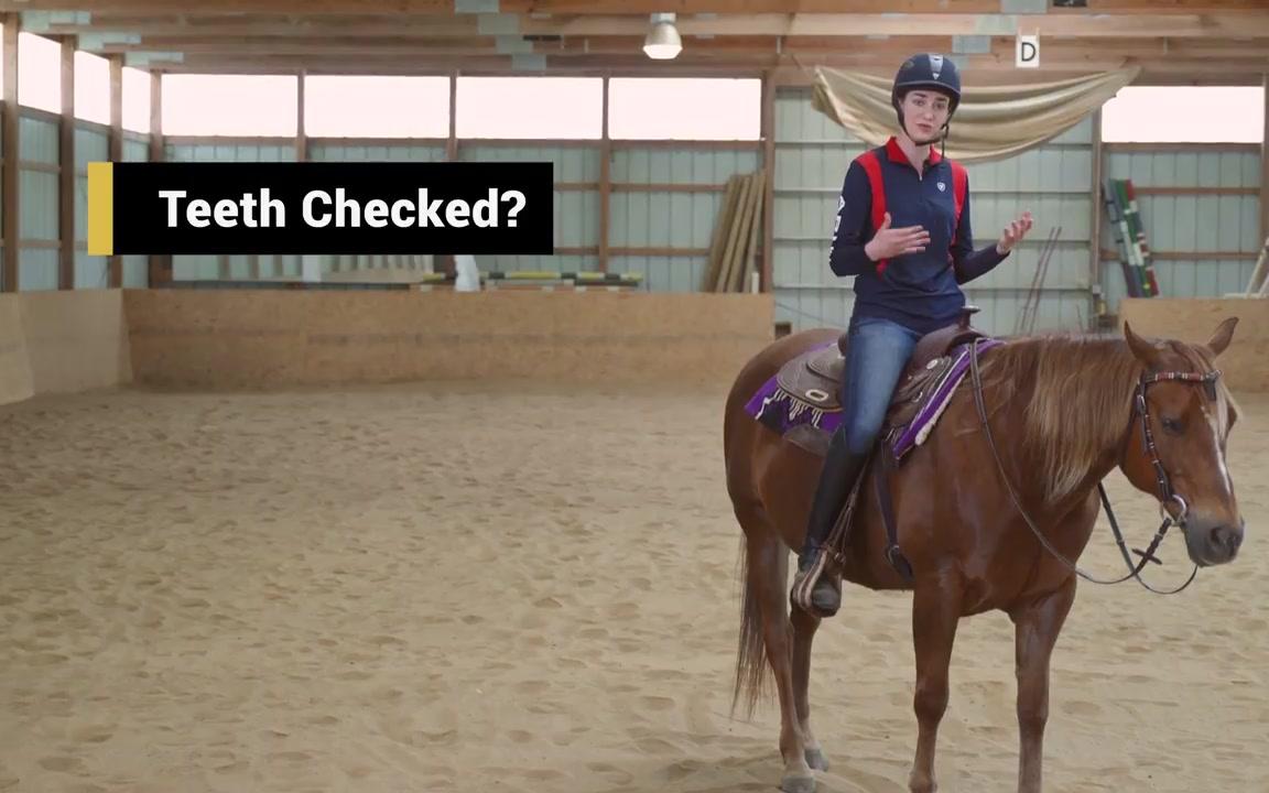 如何阻止马拉缰绳