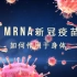 【mRNA新冠疫苗】如何作用于身体？