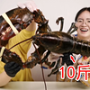 我飘了！用10斤龙虾做炸虾片