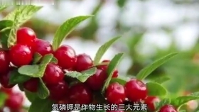 d4474522781bbb5baecc68e3553cc4f8a8f36bf2.jpg@280w_158h_1c_100q.jpg