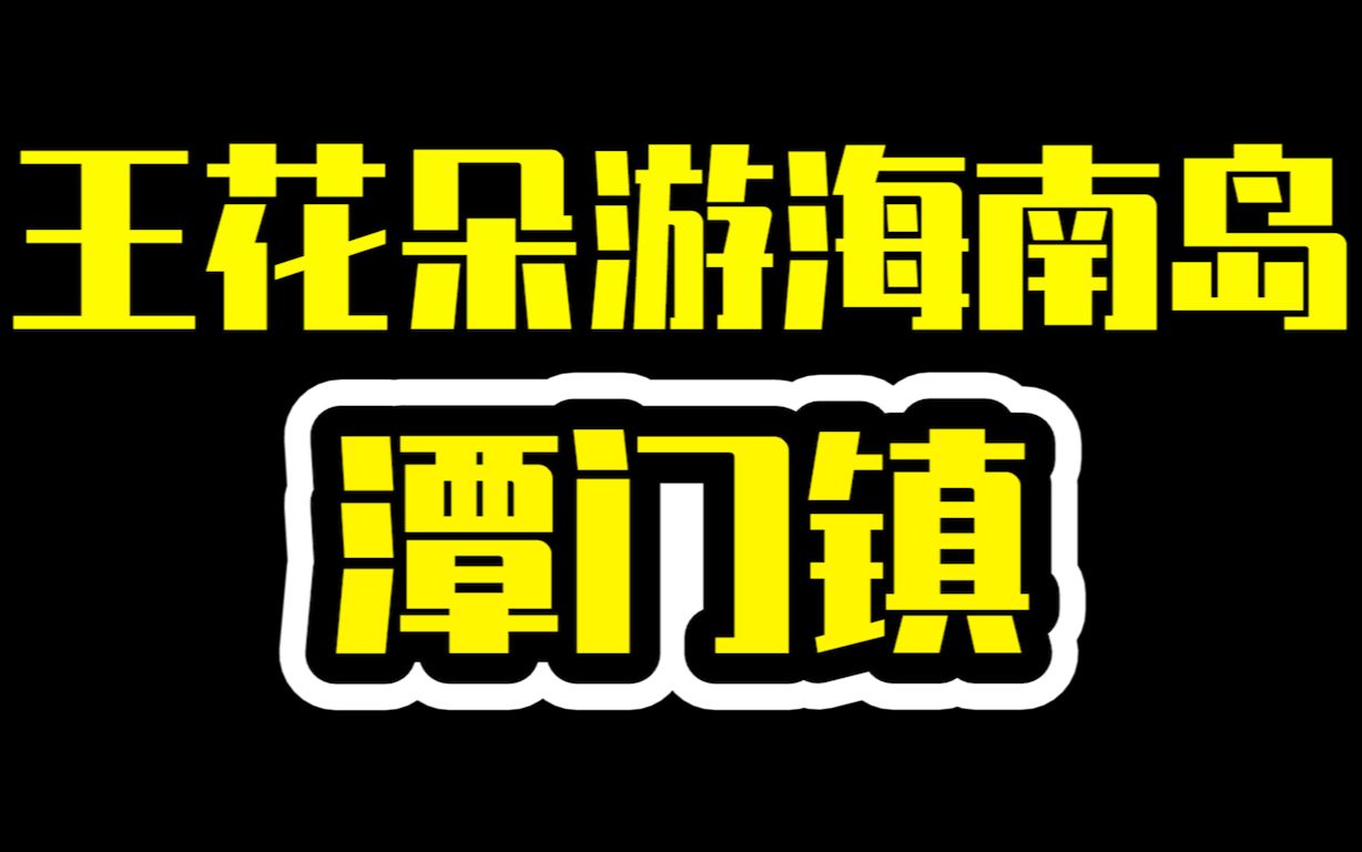 王花朵游海南岛潭门镇哔哩哔哩bilibili