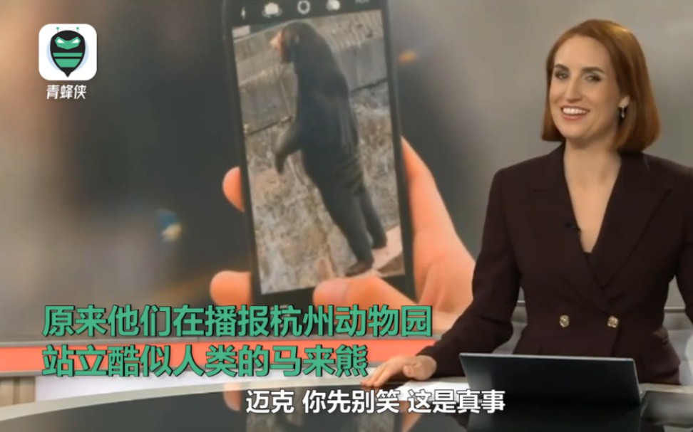 杭州动物园“人里人气”马来熊火到国外 新西兰两主播报道时笑疯