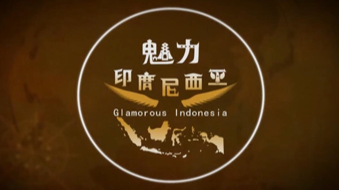 【央视】《魅力印度尼西亚》【4集 1080P+】
