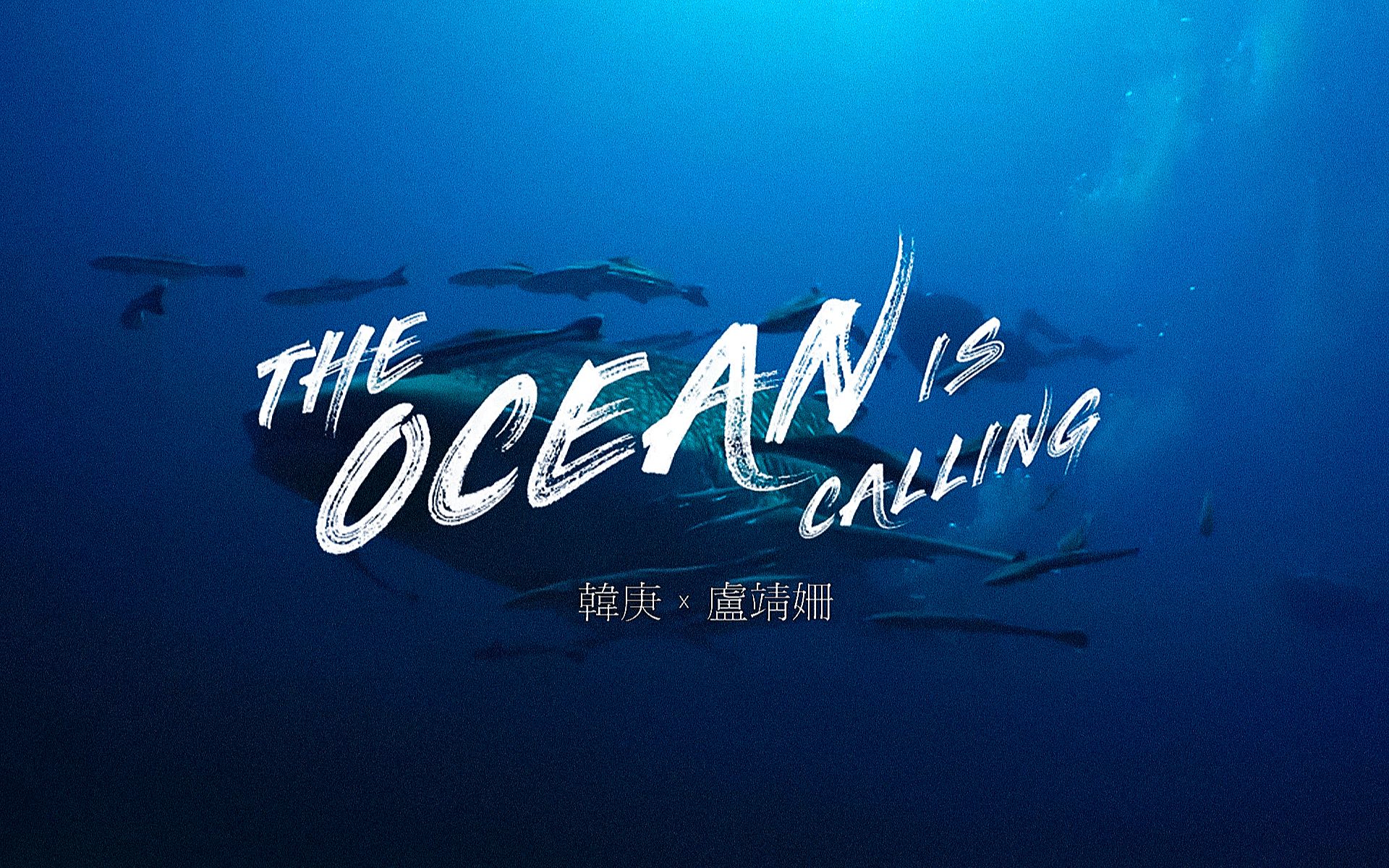 【海洋公益片 |  韩庚】《The Ocean is Calling》