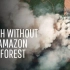 [英文字幕]如果我们失去亚马逊雨林会怎么样？