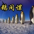 【英国】【纪录片】企鹅间谍 Penguin spy