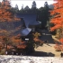 【超清日本】京都 神護寺