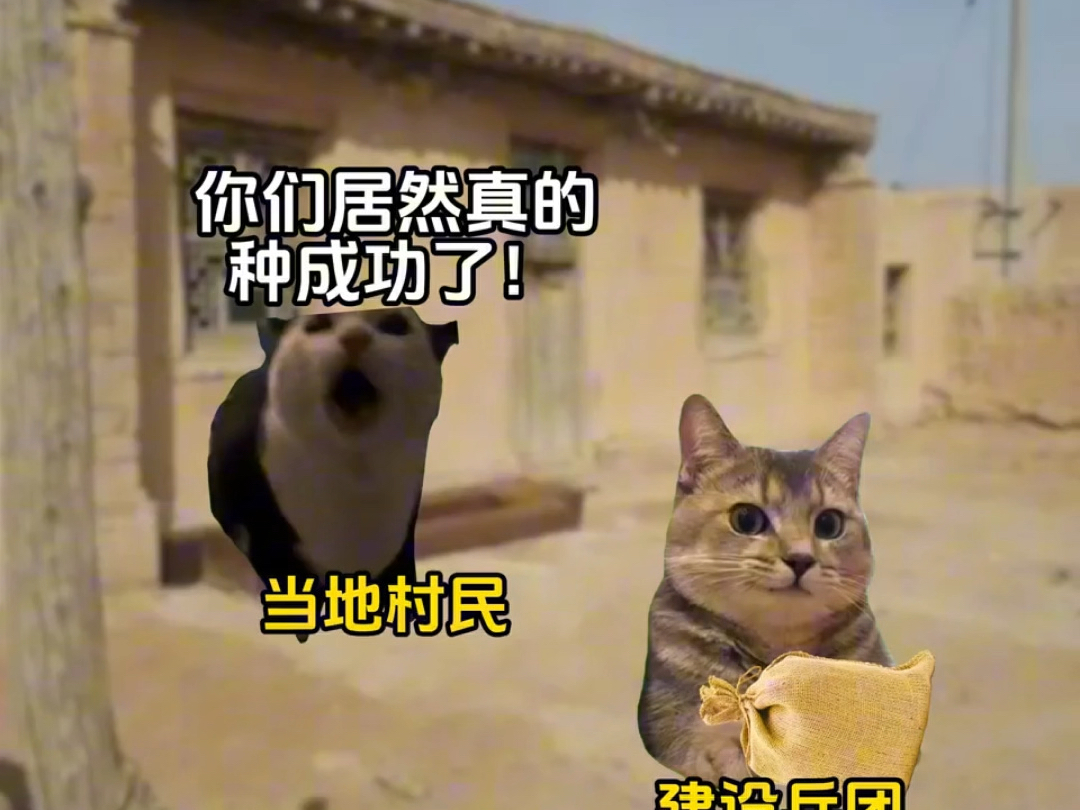 在沙漠中绘制的绿色圆圈