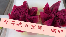 d4d3148c713fce023e4edc9394adf2e7e1365dc2.jpg@280w_158h_1c_100q.jpg