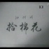 【戏曲电影】【泗州戏】《拾棉花》（1958）蒋荣花 李宝琴
