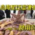 青岛海星泛滥遭抢购，收购商：可蒸食，味道像蟹黄
