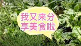 河南酒席怎么样 d509eff358fc1c7d395de1d38a27e3ad11c87d8f.jpg@280w_158h_1c_100q.jpg