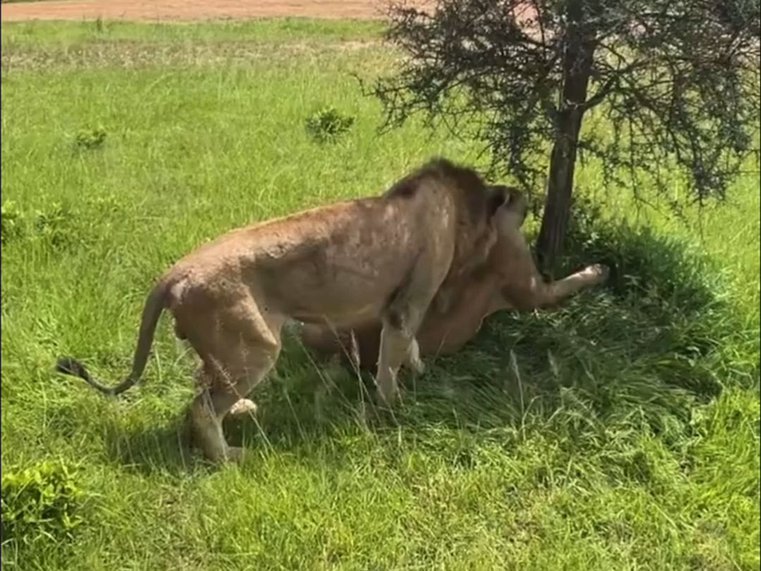 Is it too soon or did you not agree?