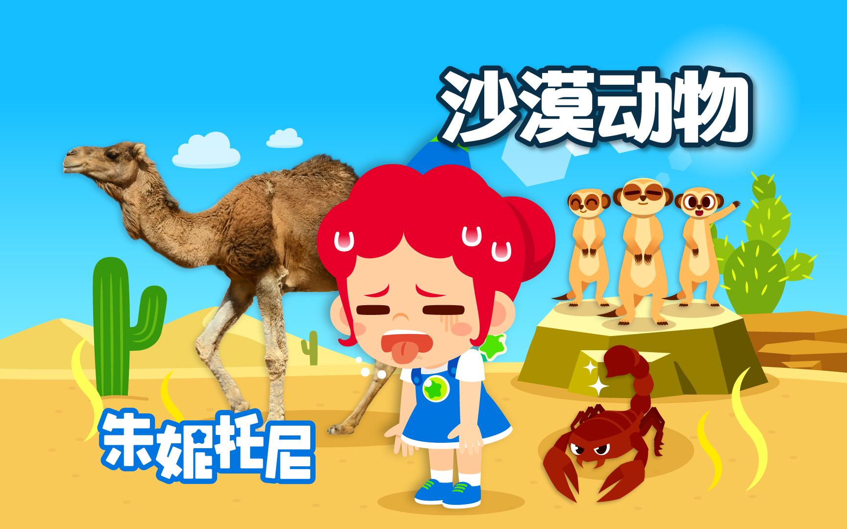 探索沙漠动物的生存之道