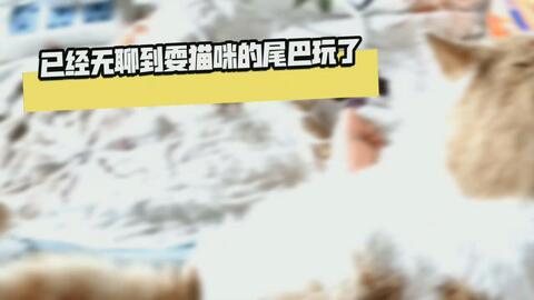 d51714e3584a209ff1807a49897619f220ef308e.jpg@480w_270h_1c