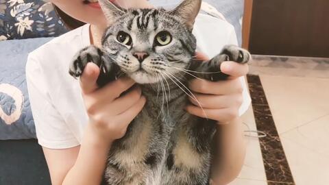 d528b3003e940107a399321b299bd4f7763810d1.jpg@480w_270h_1c