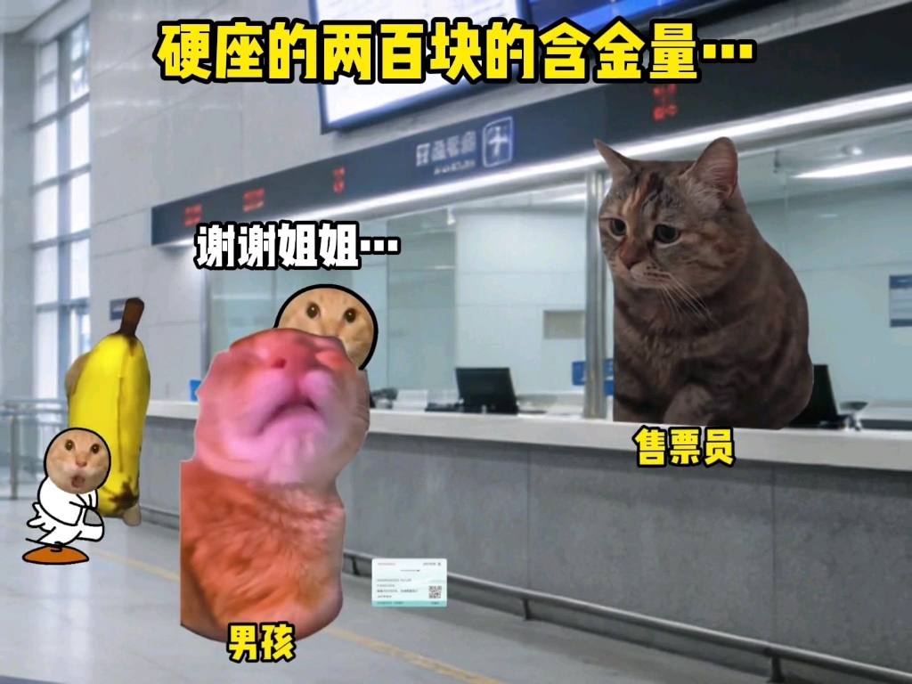 硬座的两百块的含金量…