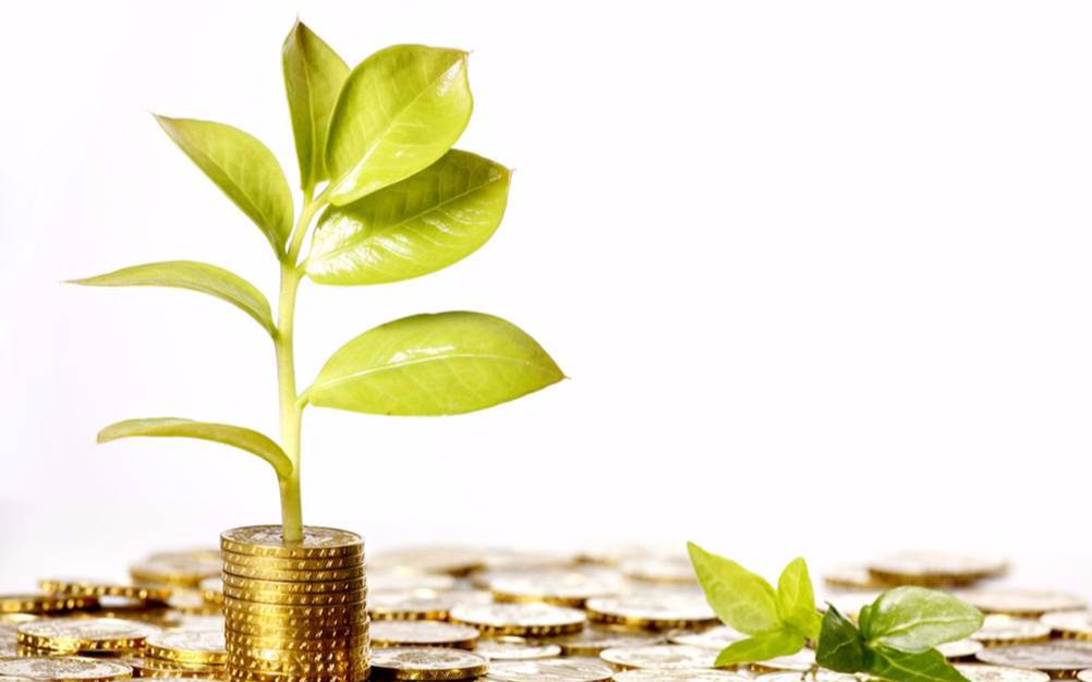 金融理论与实务