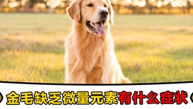 d53a3412369a3a94fbb297e5626f260020c8a953.jpg@280w_158h_1c_100q.jpg