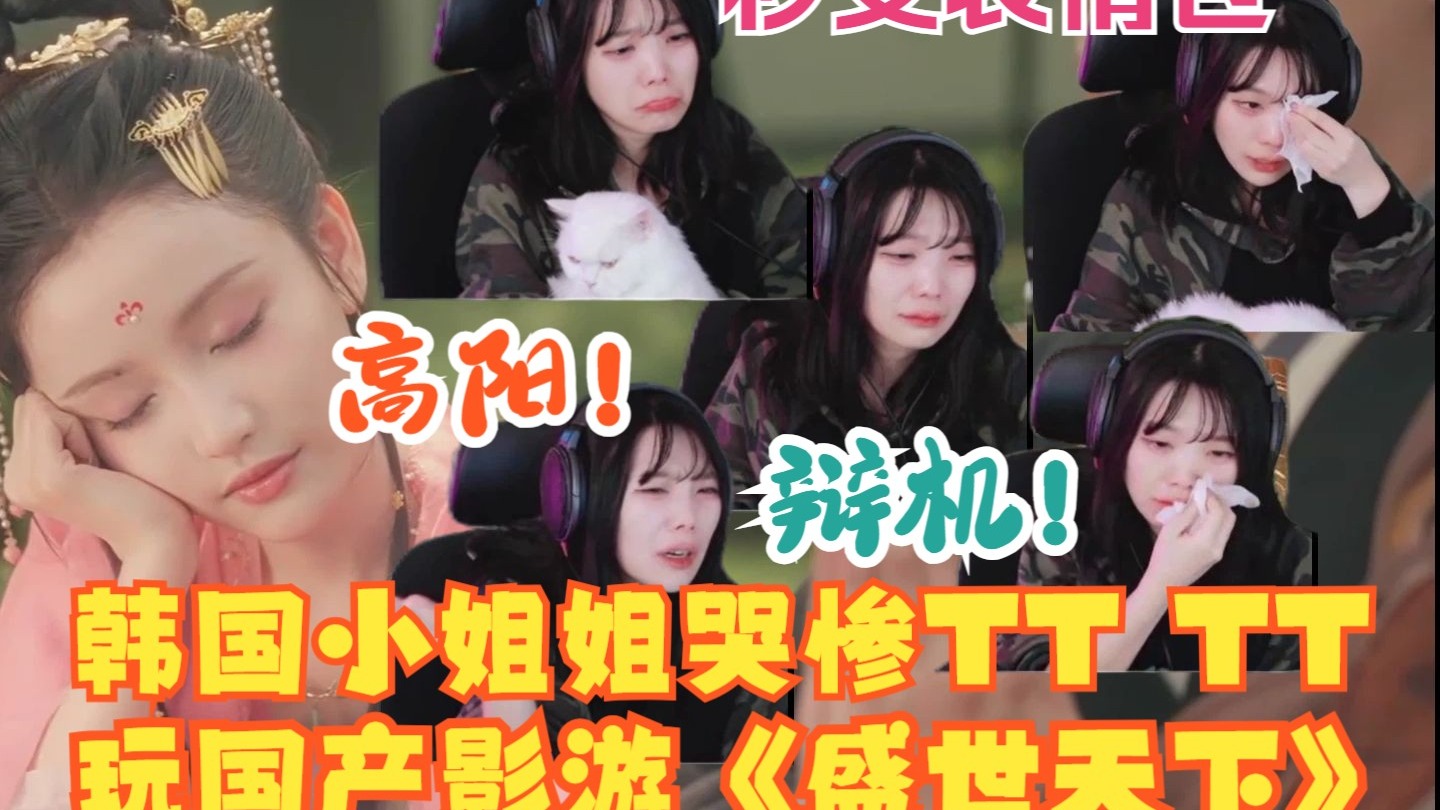 哇哇哭惹TT！韩国chzzk10万粉丝主播野餐小姐姐소풍왔니看高阳辩机！（盛世天下反应）