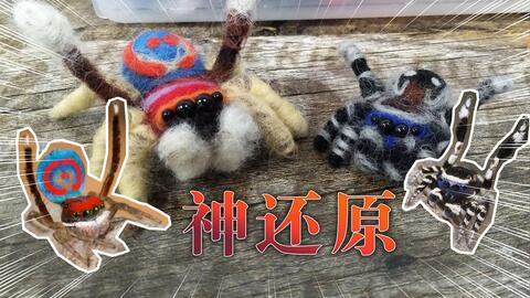 d5434b7503a9751dce83371462a84d5c3fbfc438.jpg@480w_270h_1c