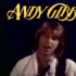 Andy Gibb - I Just Want To Be Your Everything（Official Video