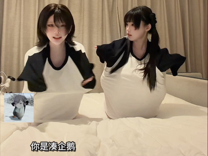 你是凑企鹅，你是谁呀