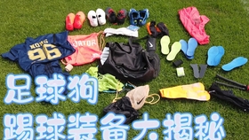d574bad6d3253abfdd2f8a9b503da78f082d6bf4.jpg@280w_158h_1c_100q.jpg
