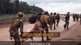 d57d4635d13f2a5f2e182d958a6a4eadc29b81ea.jpg@280w_158h_1c_100q.jpg