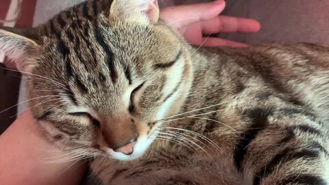 d598adba67f6ca282f5ceb9dc278e601639a47fa.jpg@480w_270h_1c