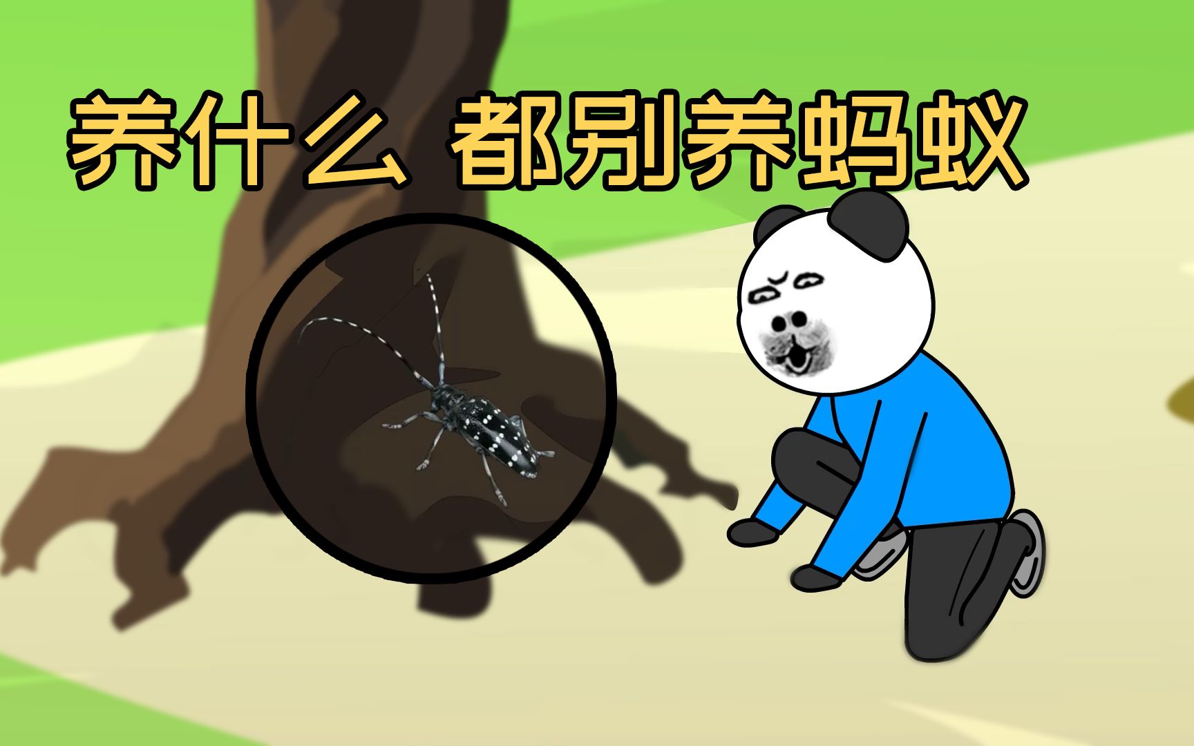 突发奇想，把蚂蚁当宠物养，结果遭殃了