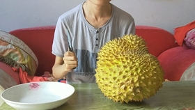 d599a1ffdecb66e967f2f4e5043388cbf7cdaec8.jpg@280w_158h_1c_100q.jpg