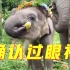 云南小象可爱捏！