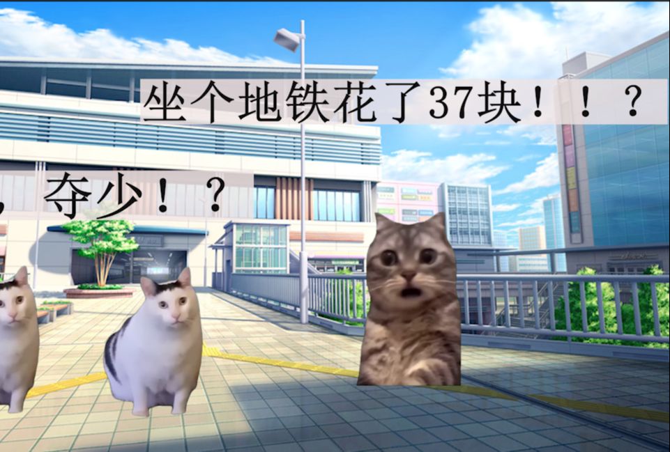 【猫meme】三个普通大学生初次去香港游玩被其消费水平所震惊