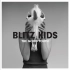 「720p60」Blitz Kids - The Sound Of A Lost Generation「有为青年 The