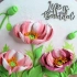 浮雕画|花卉类 粉色花