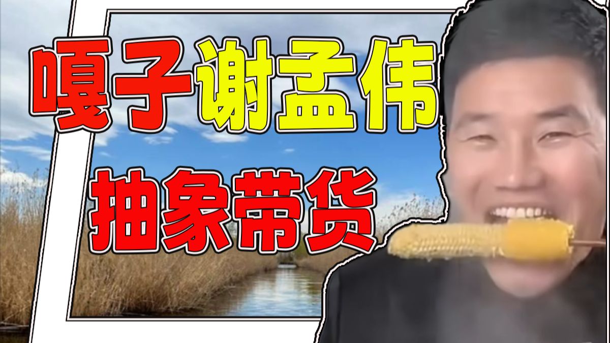 从白洋淀嘎子到带货被封，谢孟伟都经历了什么【抽象人物志06】