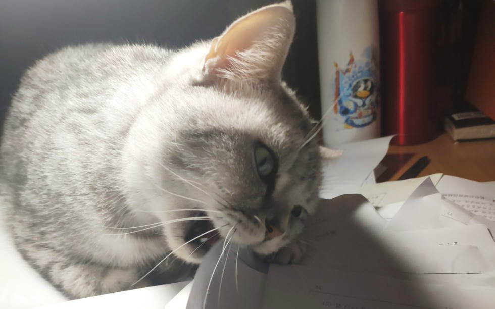 中国人民公安大学-犯罪心理解析(李玫瑾)