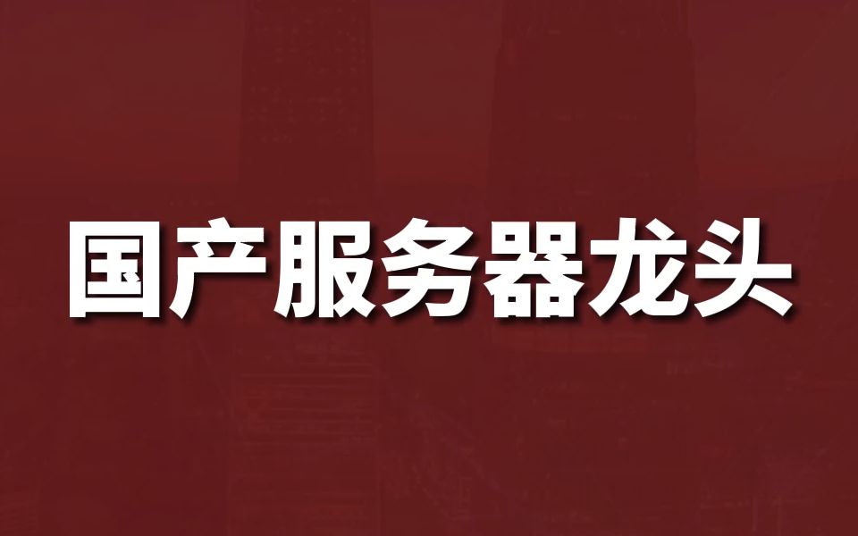 本期聊聊国产服务器龙头,全球智慧计算的领先者【浪潮信息】 #股票 #投资哔哩哔哩bilibili