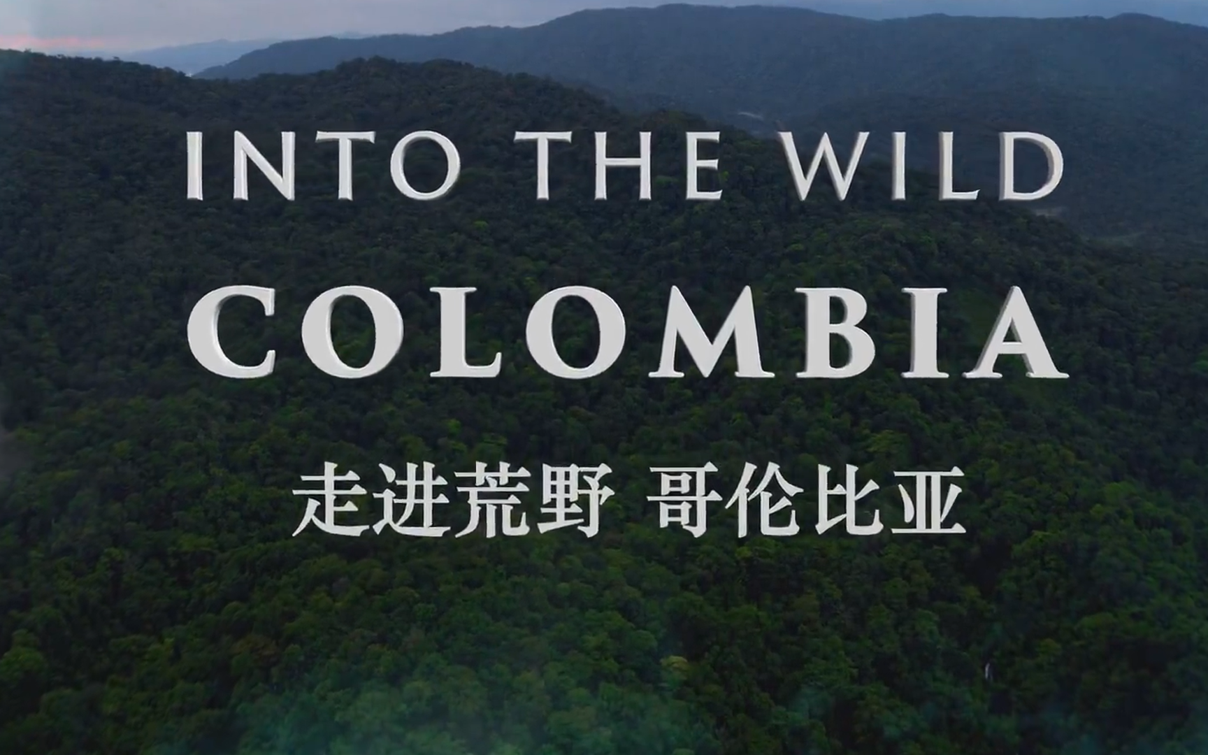 【纪录片】走进荒野：哥伦比亚-Into the Wild: Colombia I 2