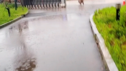湘大的雨，也许以后我会怀念（清内存）