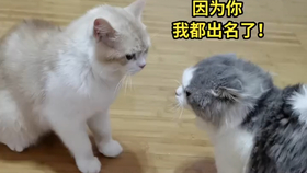 d62a9fe8eb3a4016348aaf4aa6c04e40599092d7.png@280w_158h_1c_100q.jpg