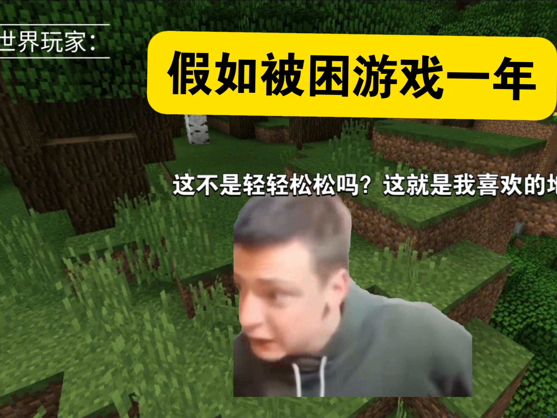 假如被困游戏一年