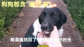 d63b715bac26215e985b4167649eeb67168ede1c.jpg@280w_158h_1c_100q.jpg