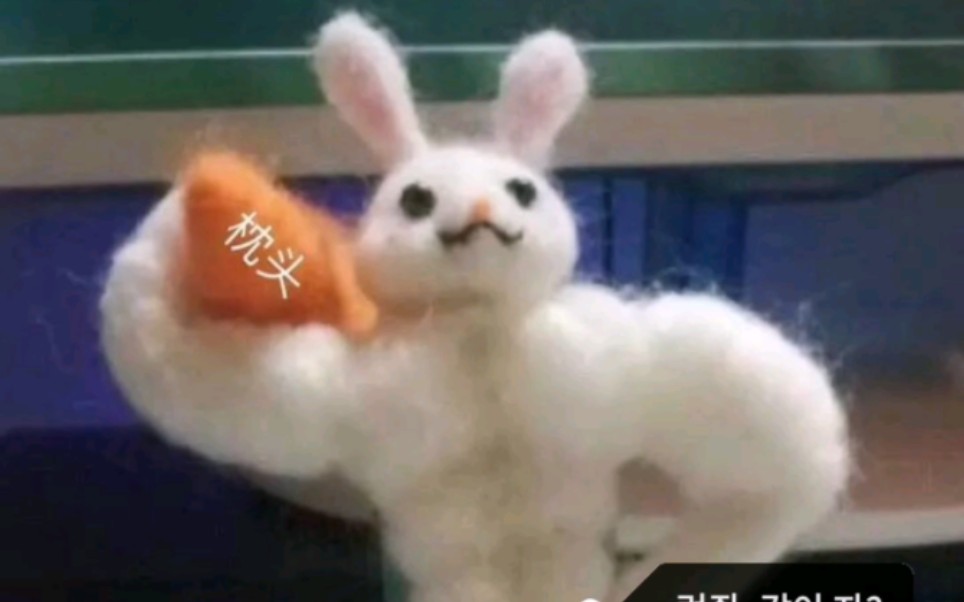 【娜俊】你喜欢什么样的兔子啊？