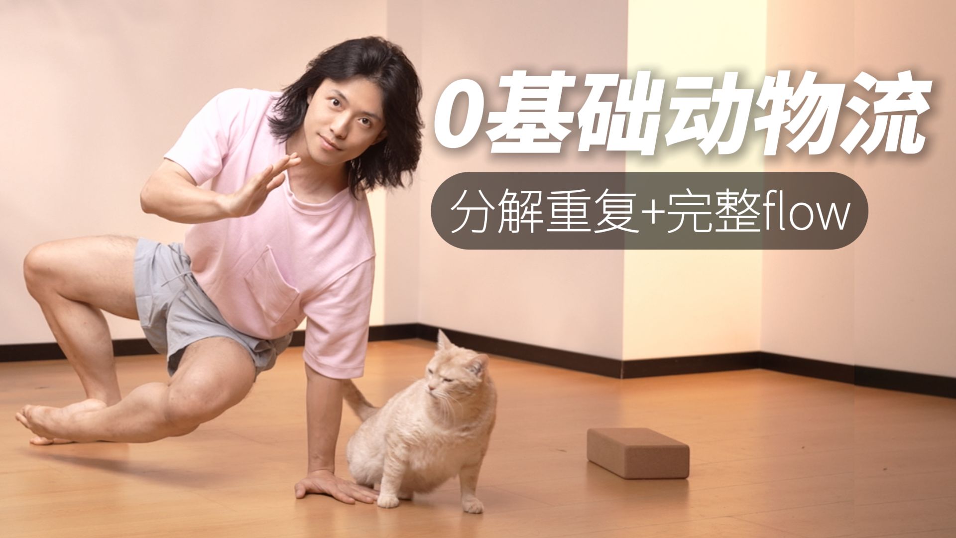 15min动物流跟练（全程口令）单一重复+基础组合 初学者友好