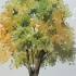用点点来画树，水彩树基础画法教程