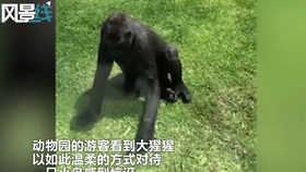 d6929de9f66c16bf9ece305b1abdeaff757a184b.jpg@280w_158h_1c_100q.jpg
