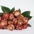 【大叔说花】鲜切花新品种玫瑰评测5/苹果杰克玫瑰评测/铁头玫瑰